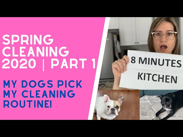 SPRING CLEANING 2020 PART 1 | MY DOGS PICK MY CLEANING ROUTINE | SPEED CLEANING MY HOUSE