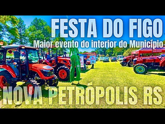 FESTA DO FIGO.. NA CIDADE DE NOVA PETRÓPOLIS RS.. SERRA GAÚCHA.. RIO GRANDE DO SUL. EVENTO GRATUITO