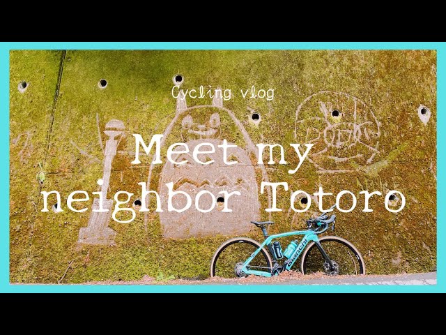 Meet my neighbor Totoro!  Hill climb in Japan country side | Bianchi, Road bike, Cycling vlog