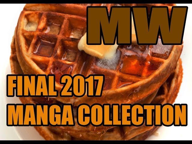 Last manga update for 2017