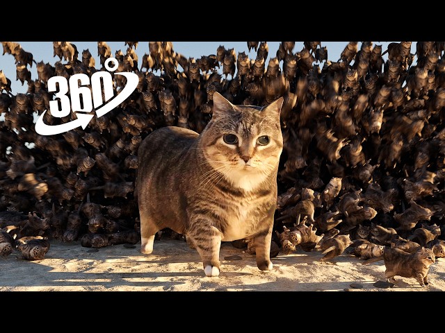 50,000 OIIAOIIA Cats on the beach/VR/8K