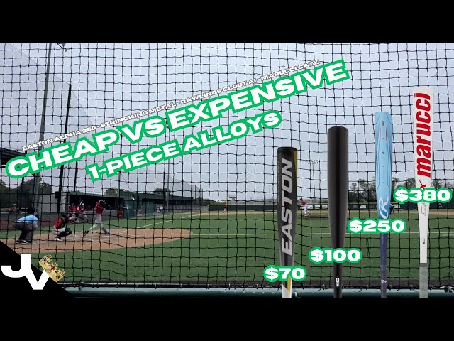 Cheap vs Expensive Alloy Bats