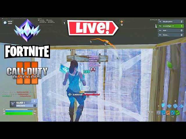 Playing Fortnite Games with Viewers (Must be a Subscriber AND Comment on a Recent Video) | BO3 Later