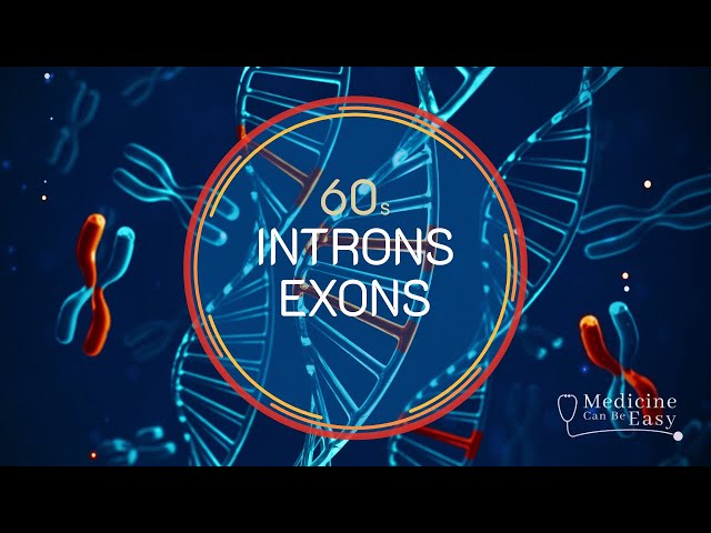 Genetics in 60 seconds: Introns and Exons