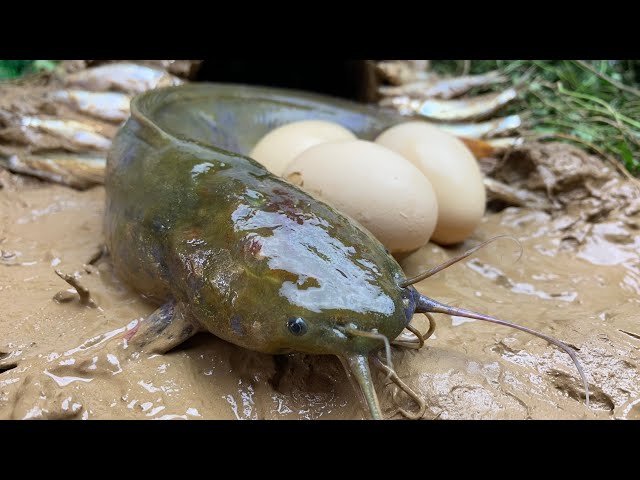 Stop Motion ASMR - Catch Crocodile, Catfish Mud Hole to Primitive Cooking IRL Recipe 4K | Cuckoo