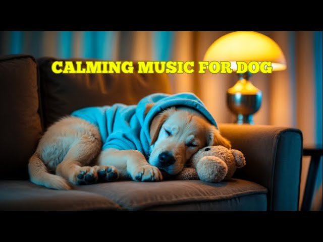 12 Hours of Dog Restful Music 🐕 Healing Sounds to Help Pets Relax and Sleep