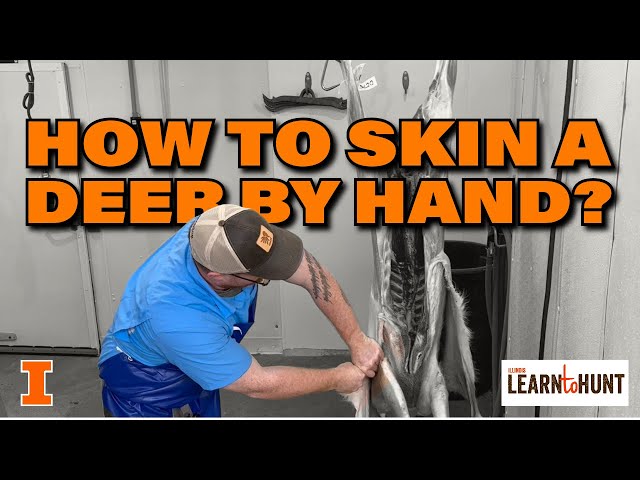 #3: How to Skin a Deer by Hand?