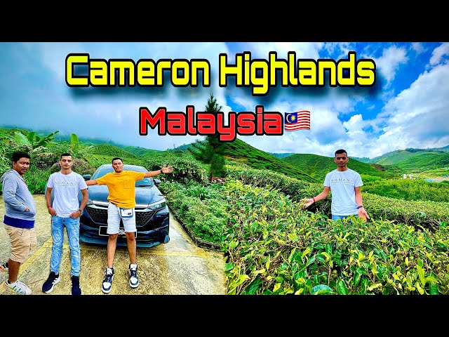 🇲🇾Cameron Highlands Vlog | मलेशियाको सुन्दर ठाउँ!  नेपालको याद आयो🥹 | Nepali Travel Vlog✈️