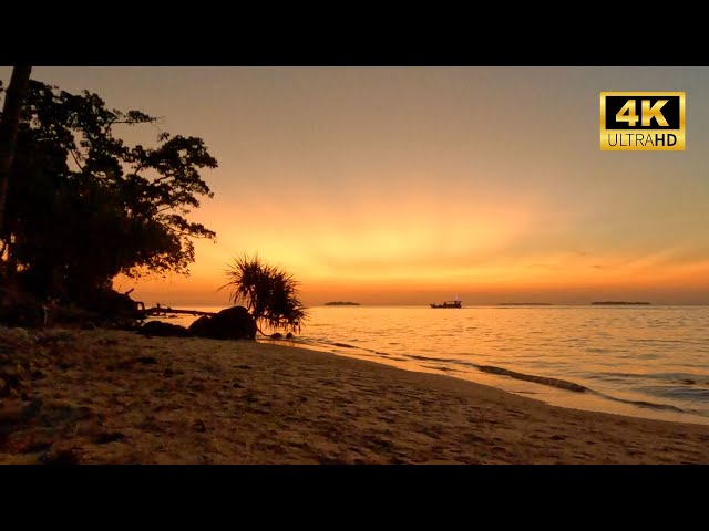 Sunset at tropical Beach. Calm ocean waves sounds.