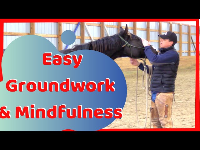 Basic Groundschool/Groundwork And The Horses Frame Of Mind