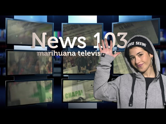 Bye Bye 2020! Resumen de un año de contrastes para el CANNABIS. ¡FELIZ AÑO 2021! Marihuana News 103