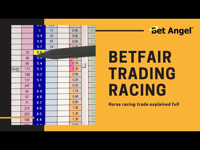 Betfair trading | Horse racing | A £90 profitable trade explained in depth