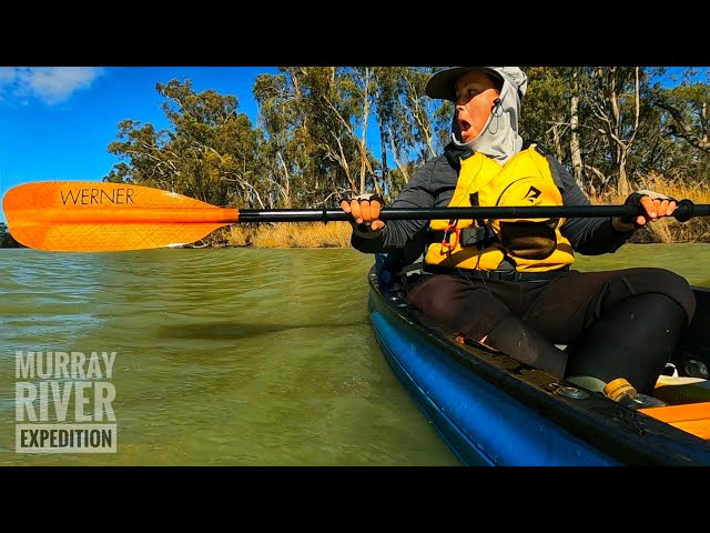 4½ month thru-paddle on the Murray River in 3½ minutes