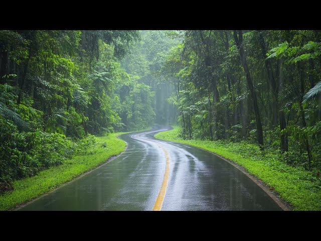 Sleep and Relax with Heavy Rain. Rain Sounds, Nature Sounds, Sleep Music for Sleep, Stress Relief