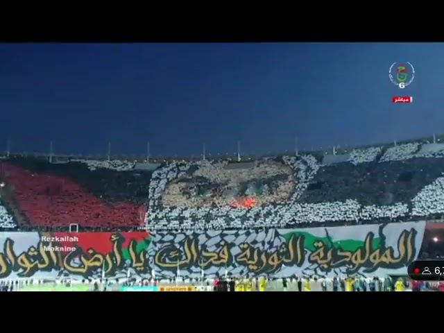 Gaza:  les supporters de club algérois du Mouloudia d'Alger ont réalisé un somptueux tifo