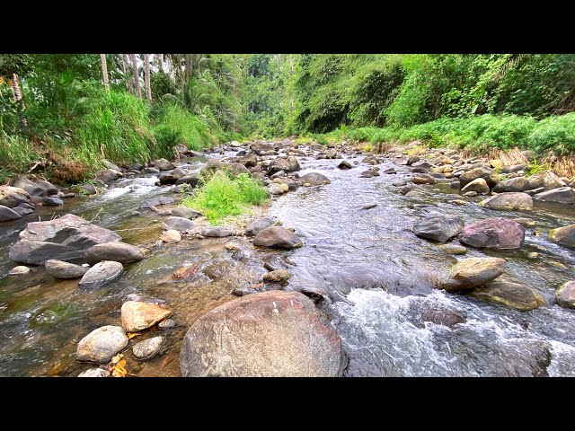 Calming Water Sounds And Melodic River Stream With Picturesque Views That Melt Stress Away Instantly