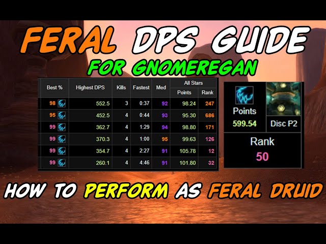 How to dps as feral druid in Gnomeregan | P2 feral dps guide | #classicwow