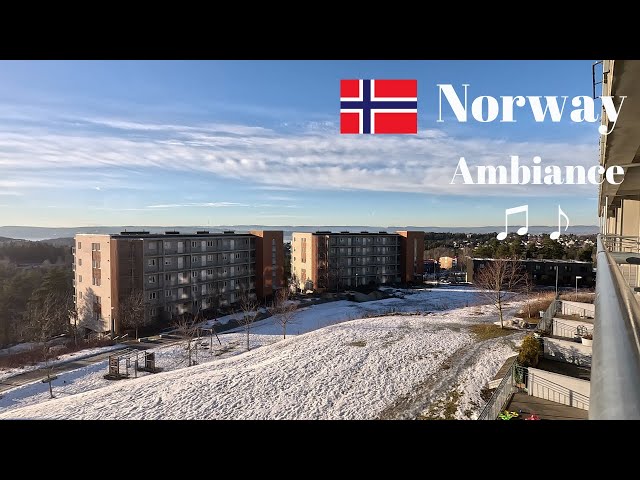 🧑‍🎄 Norway Nature Ambience with Lo-Fi Music 🎵 | Study With Me | ASMR | 4K/60p