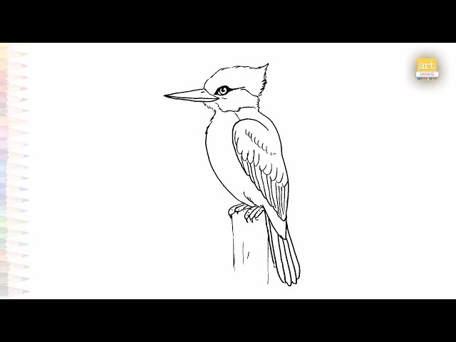 Kingfisher drawings easy | Bird drawing tutorial | How to draw A Kingfisher step by step #artjanag