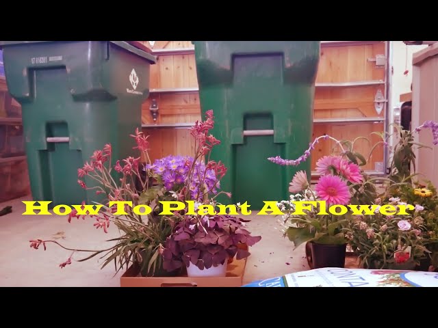 How To Plant A Flower | Student Short Film 2024