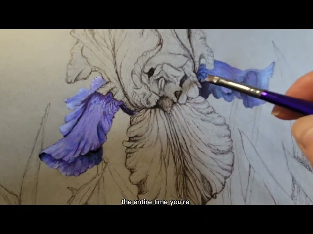 Painting a Mariposa Skies Bearded Iris Using Acrylic Paints