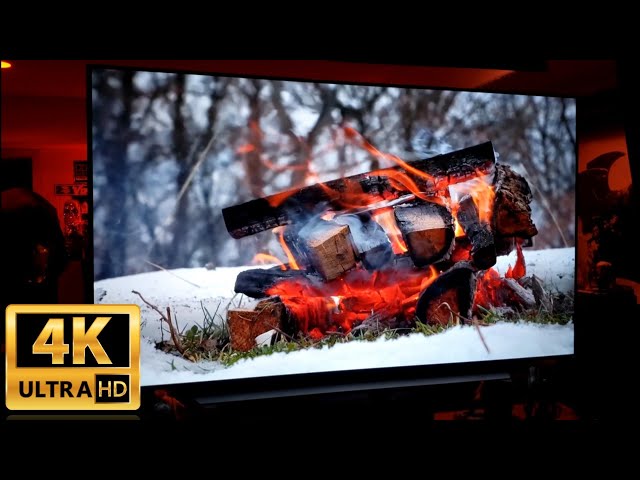 2020 LG 65" C10 CX 4K OLED TV : Snow Scenes!