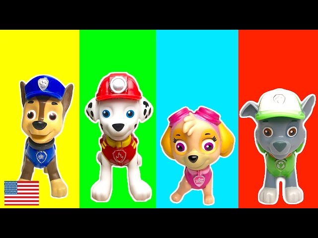 Learn Colors Paw Patrol Slime Pool Toys Surprise Eggs Crayons Learning Video for Children English