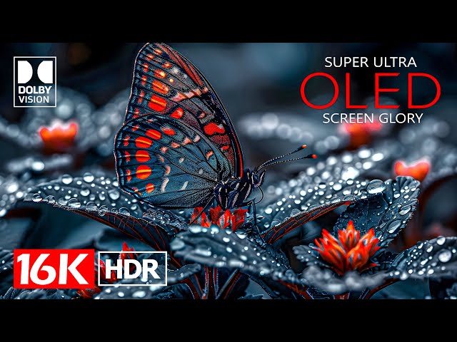 Most Beautiful 16K Video in 2025 | Dolby Vision 16K HDR 60 FPS