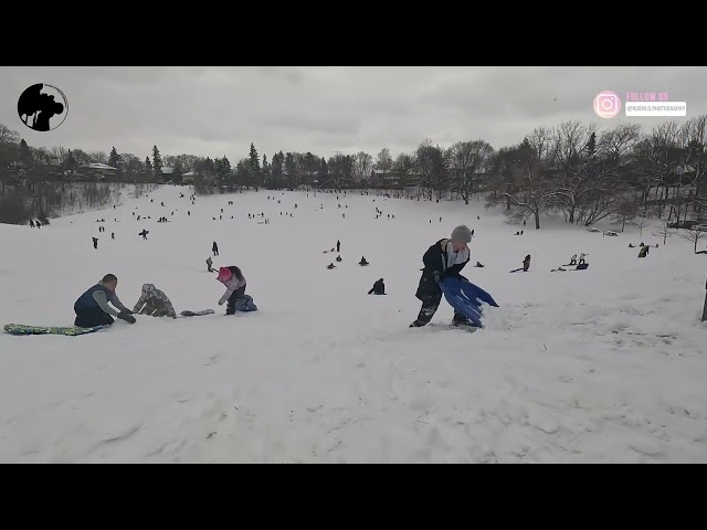 Tobogganing in Cedarvale Park | Toronto 🇨🇦 4K  2025 | @Rubin.D