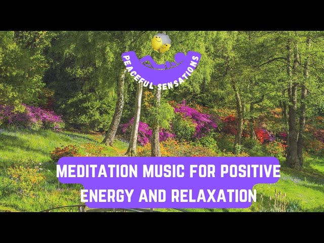 Forest Nature Sounds, 10 hours Relaxing Bird Sounds, Birds Chirping, mindfulness meditation calm