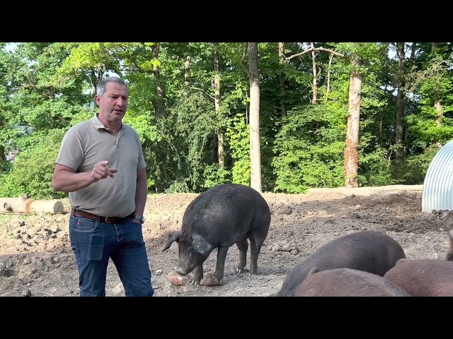 Gülle für Fleischkonsumenten - wieviel ist es wirklich?