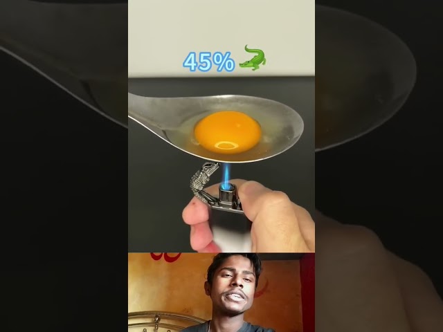 🥚 egg 🆚 lighter | #shortvideo #shorts #experiment #fact #factshorts