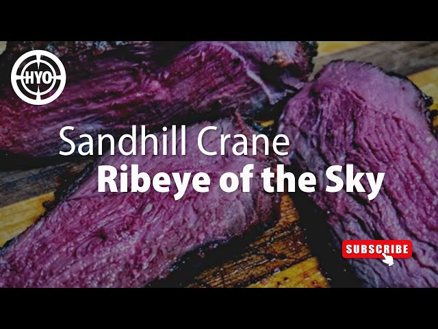 Sandhill Crane - Ribeye of the Sky