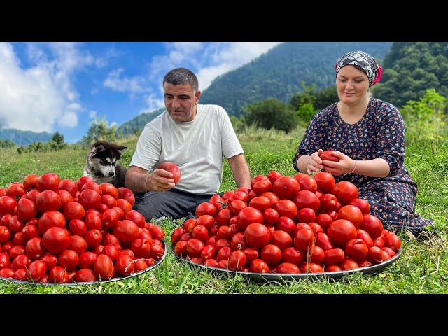 Tomatoes for the winter and beans for the holiday! Homemade Recipe from the Villagers