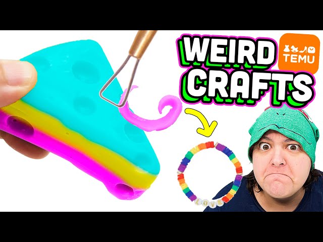 I Review The MOST Bizarre Temu Craft Kits Squishies & More!