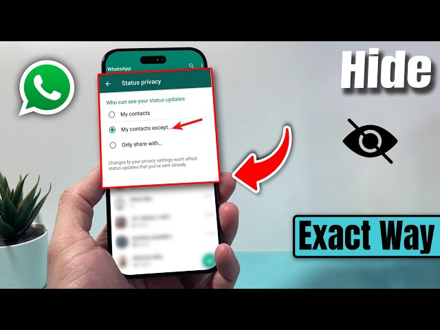 How to hide WhatsApp status from specific contact - Full Guide