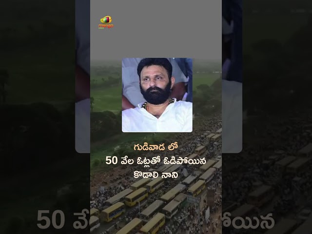 Kodali Nani Trails In Gudivada | AP Assembly Election Results 2024 | YSRCP | AP Politics |Mango News