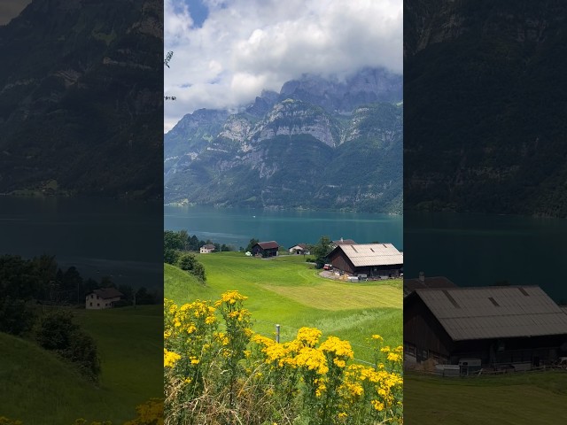 Switzerland in Summer 🇨🇭