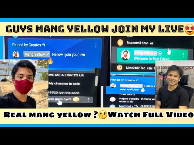 Mang Yellow Join My Live Guys |#stumbleguys #mangyellow #viral #trending #subscribe #vlog #gaming