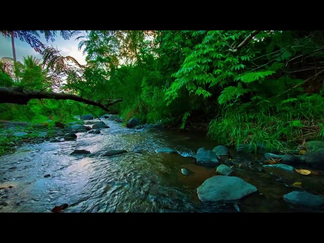 Calming River Sounds: Unwind, Meditate & Sleep