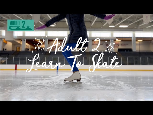 Adult 2 Learn to Skate (journeybacktotheice) #adultsskatetoo