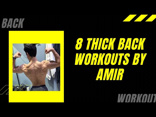 8 Best Exercises for a Thicker, Stronger Back |Amir