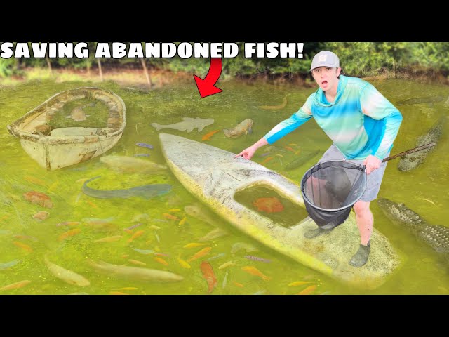 Rescuing MONSTER Aquarium Fish From ABANDONED POND!