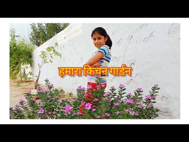 किचन गार्डन🌱 welcome to our  terrace garden fruits and vegetable garden, video, vlog video, vlogs