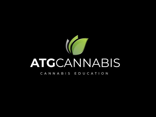 Budtender Education - Ahh Chocolate