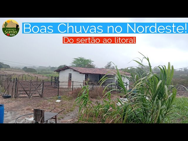 Muita Chuva no Nordeste: Super Vídeo!🤩 v09