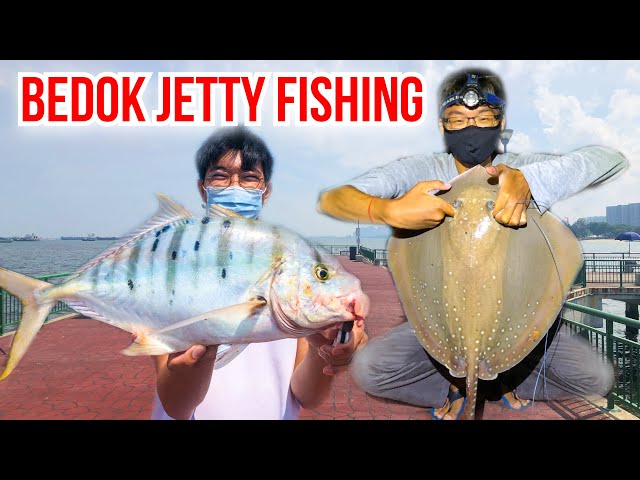 Surf Fishing at Bedok Jetty | Golden Trevally and Stingray | Fishing in Singapore