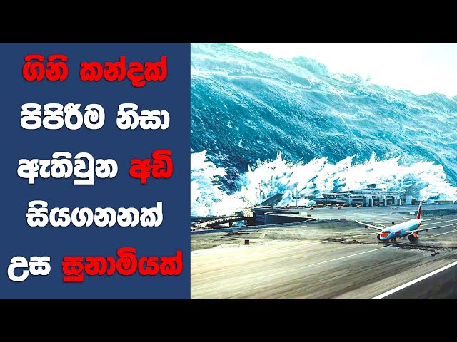 "ලා පල්මා (2024)" සිංහල Movie Review | Ending Explained Sinhala | Sinhala Movie Review