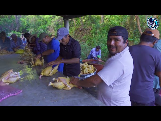 TRADICIONAL MAYORDOMIA DE SANTIAGO APOSTOL EN SANTA MARIA YOLOTEPEC PARTE 1