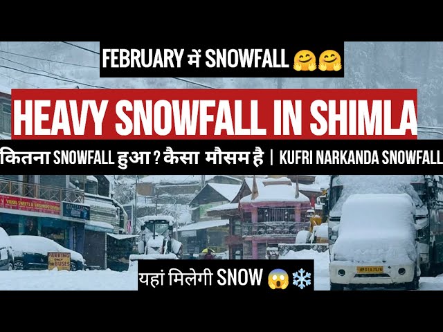 Heavy snowfall in Shimla | Shimla snowfall today | Shimla in February | kufri narkanda